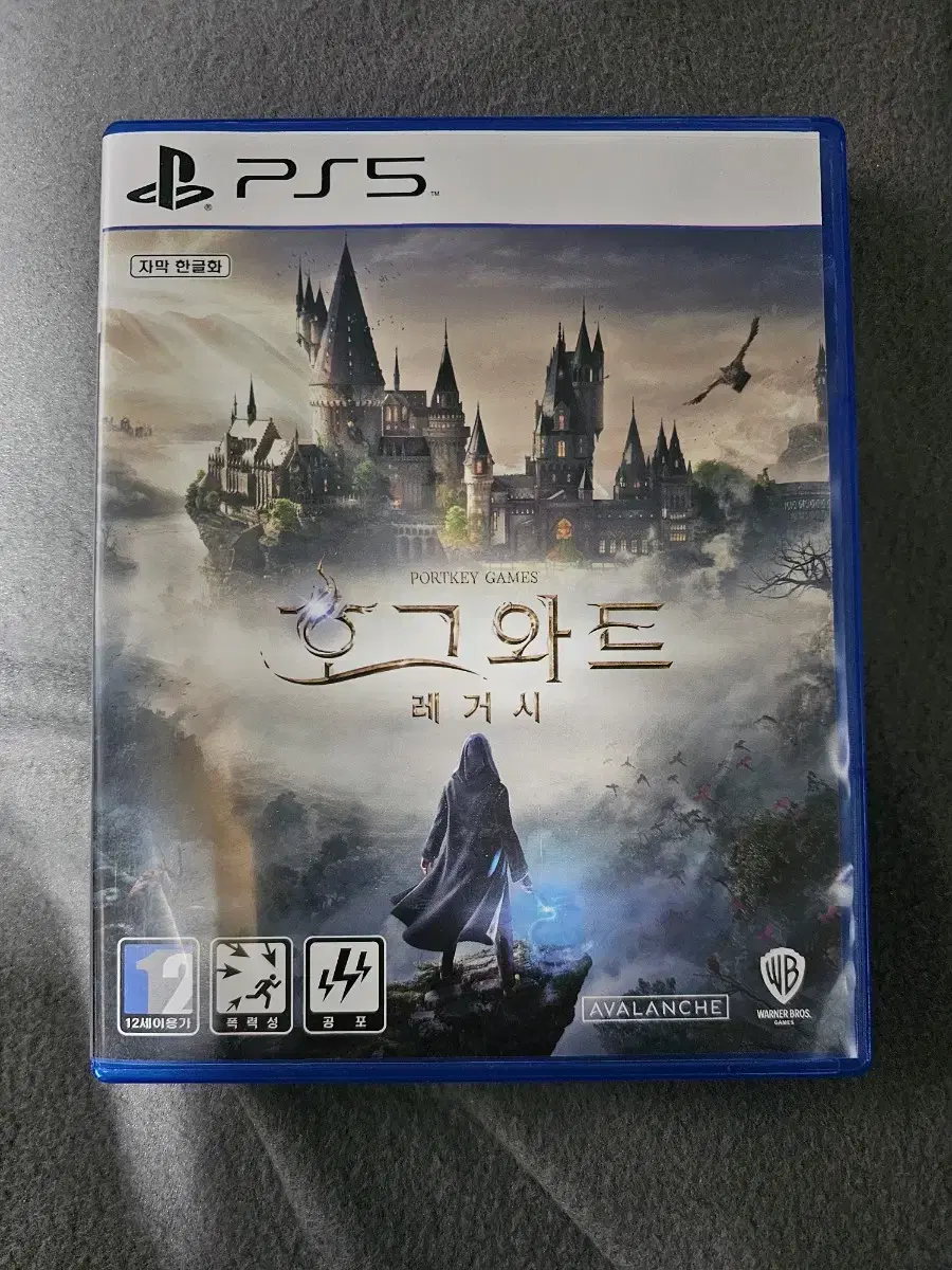 PS5 플스5 호그와트레거시 (코드미사용)